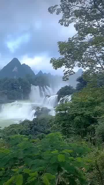 一架美国无人机在伊拉克东部被击落